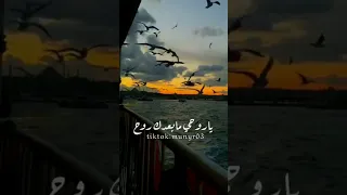 ربيع الاسمر خبرها ياطير وروح تصاميم حزينة حالات واتس 