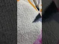 Shocked some other app is using my Tik tok vedios on urlebird app site