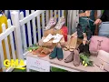GMA Deals and Steals on 22 awesome brands to celebrate spring