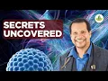 Download Lagu Unlocking the Cell: The Secrets of mRNA LNP Dismantling!