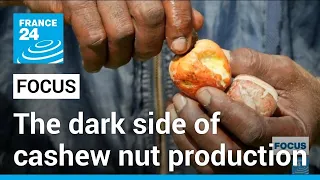 Download A tough nut to crack: The dark side of cashew nut production in Kenya • FRANCE 24 English MP3