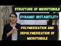 Structure of Microtubules Polymerization and Depolymerization Treadmilling Dynamic Instability