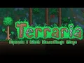 THE ANGRY DANDELION Terraria
