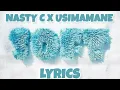 Nasty C - SOFT (Lyrics) ft. USIMAMANE