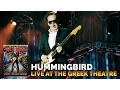Joe Bonamassa Official - \