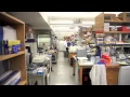 UCLA Cousins Center for Psychoneuroimmunology