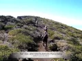 Download Lagu Supertrail vom Roque de los Muchachos