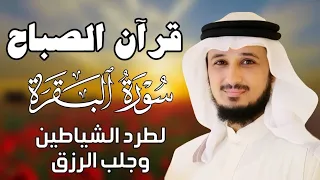 قرآن الصباح   سورة البقرة لحفظ وتحصين المنزل   بصوت الشيخ فارس عباد    جودة عالية دندنها