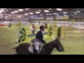 Download Lagu FOR SALE *2005 mare by  Cor de brillant - Ratio 140 indoor