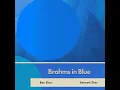 Brahms in Blue - Ben Sher & Emmett Sher