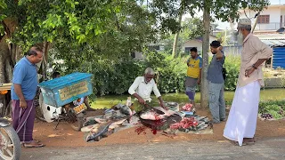 MESMERIZING! Elderly Grandpa Preps Fresh Morning Catch With Decades of Skill in a Quiet Village