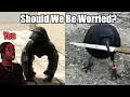 How Crows Gave Earth s Biggest City the Middle Finger