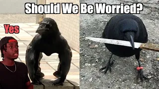 How Crows Gave Earth s Biggest City the Middle Finger