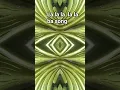 Download Lagu ami rala lu na la la la la la la la ba #song