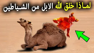 لماذا خلق الله الإبل من الشياطين  وماذا تفعل الابل فى الليل  ولماذا امرنا النبى ﷺ بالوضوء بعد اكلها دندنها