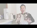 Akina Yamana watches the music video for "Leo" by Yuuri