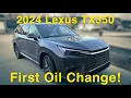 2024 Lexus TX 350 Oil Change