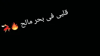 قلبك بحر مالح قلبي فيكي سايح    حالة واتس اب دندنها