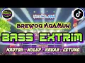 Download Lagu DJ CEK SOUND FULL BASS TERBARU 2025 TROMPET BRAZIL X OGKEK UNGKER PALING ENAK ANDALAN KARNAVAL HOREG