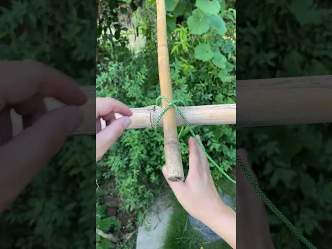 Wow! Bamboo Knot!