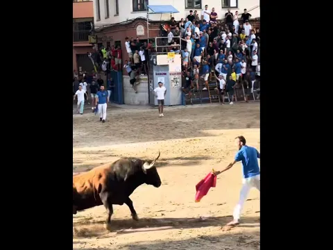 UN ESCÁNDALO DE TORO BRAVO‼️NO OARA NI UN SEGUNDO💪🏻❤️ #toros