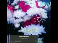 Download Lagu Story wa || Tak mau berubah - Keisha Ratuliu