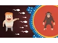Can Humans and Chimpanzees Have Babies Animal Human Hybrids Explained
