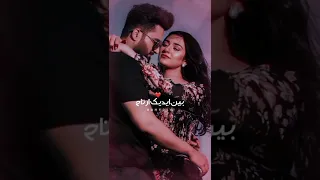 اغاني حالات وتس اب انت اناني انت كلبي ذوبته انت عالم غير بالعشق انت شكد ماتجر حتي تبقى عاجبني 