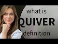 Quiver what is QUIVER definition