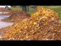 Fact Finders Viewer worries about her neighbor starting a huge fire