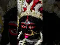 Download Lagu Maa Tara trending song