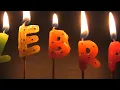 Beach House - Zebra