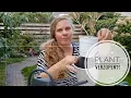 Download Lagu 🌱☘️🌿 Zo geef jij je planten nooit meer per ongeluk teveel water 🌱☘️🌿