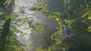 عشنا سنينا والكتاب رفيقنا  أناشيد اسلامية  دندنها