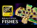MOST BEAUTIFUL FISHES IN THE WORLD 8K ULTRA