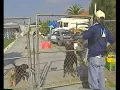 Meter Readers The Real Story
