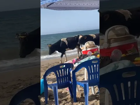 السياحة في الجزائر