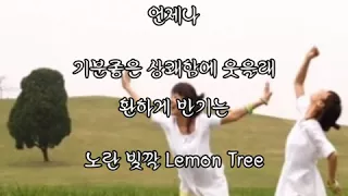 Lemon Tree 박혜경 가사첨부 