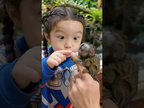 The World’s Craziest Mini Zoo! 🐒🦀😱