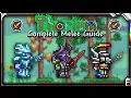 COMPLETE Melee Guide for Thorium 1 7 0 0