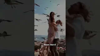 عدينا يا شوق Shorts 