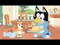 Download Lagu C'est l'heure du gâteau au canard ! 🐤 🍰 | Gâteau au canard | Bluey Français Chaîne Officielle