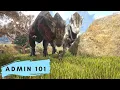 Admin 101 GMSummon Imprint Quality Ark Evolved Commands