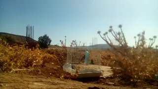اجمل غناء مقنين ولاية المدية دندنها