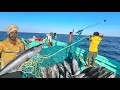 Download Lagu Ohh❗Second Day 💢 Massive Catch 🤩 Big size Trevally Fishes | Indian Fishing Adventure 
