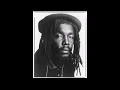 Lagu PETER TOSH MIX