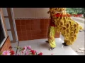 Download Lagu BARONGSAI DAN LIONG [NAGA] TAHUN BARU IMLEK 2017 SINGKAWANG