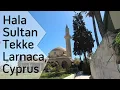 Download Lagu Hala Sultan Tekke mosque in Larnaca, Cyprus
