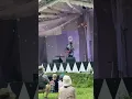 [2024 Fuji Rock Festival] Sakura - Kyogo Kawaguchi (河口 恭吾)