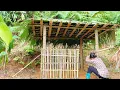 Download Lagu Simple palm leaf roof, bamboo duck coop wall, developed vegetable garden_Ly Tieu Yen